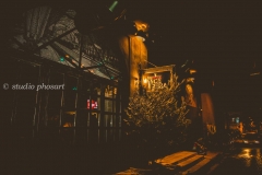Orient Express masquerate Party @ Vice Versa (85)